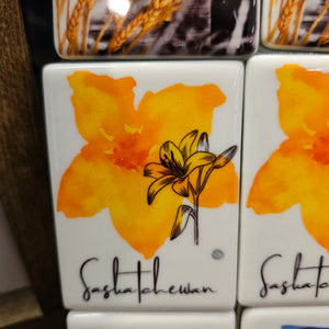 Ceramic Saskatchewan Magnets