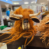 Highland Cow